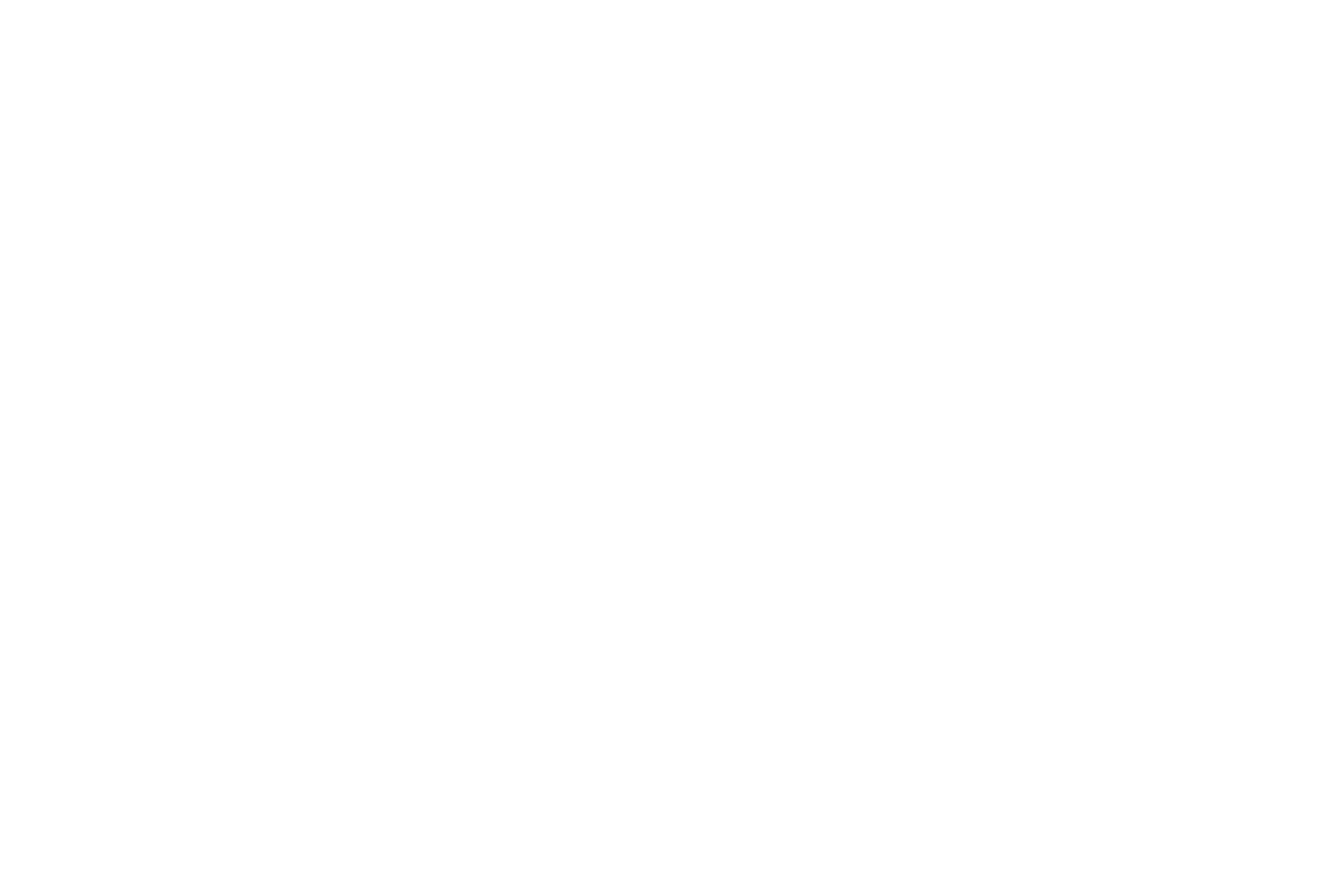 Rave with Rayko